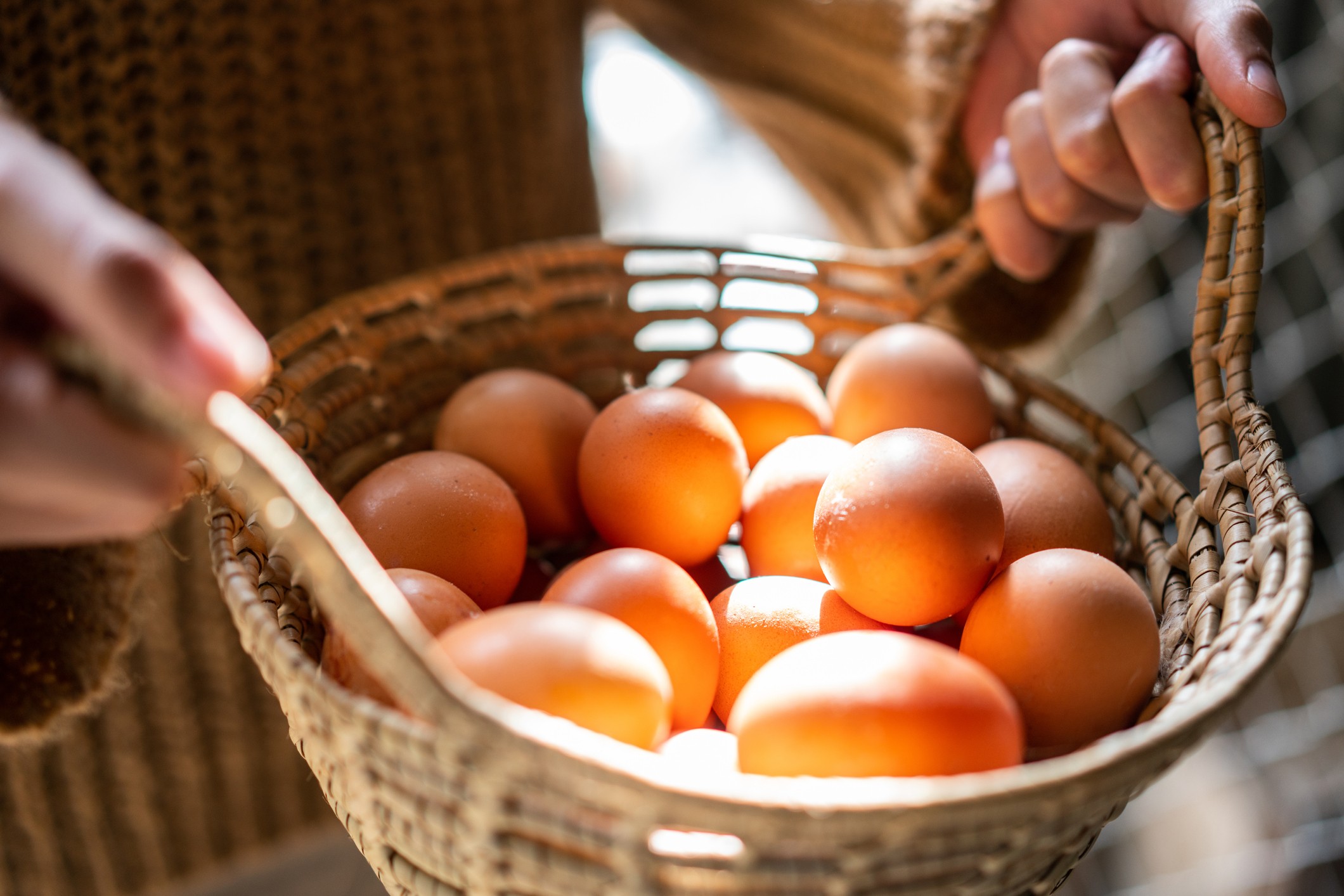 De galinha, pata ou codorna: qual ovo é o mais nutritivo?